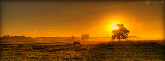 Sunset Horse Facebook Cover