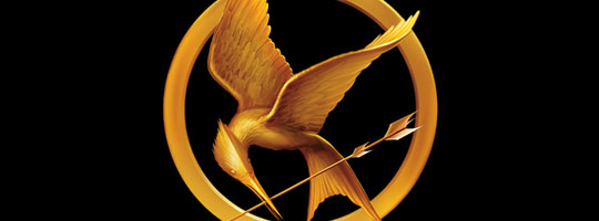 Hunger Games 4 Facebook Cover
