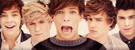 One Direction 6 Facebook Cover