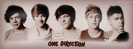 One Direction Facebook Cover